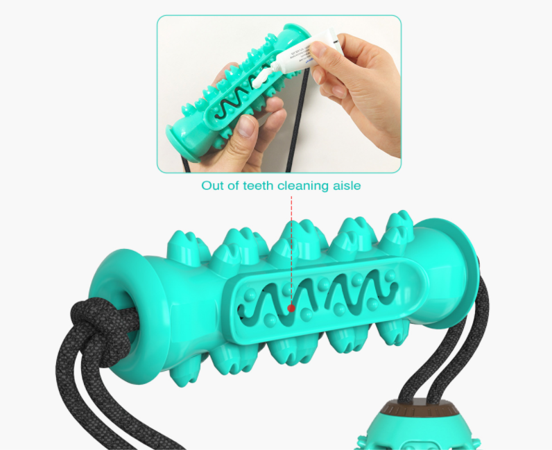 Jouets à mâcher pour chien, brosse à dents pour animaux de compagnie, os en caoutchouc, nettoyage des dents