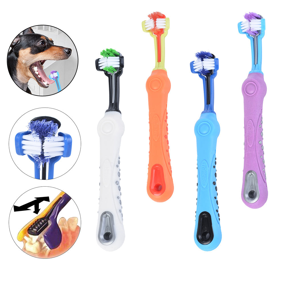 Brosse à dents à trois faces pour animaux de compagnie, brosse pour chien, mauvaise haleine, tartre, soins des dents