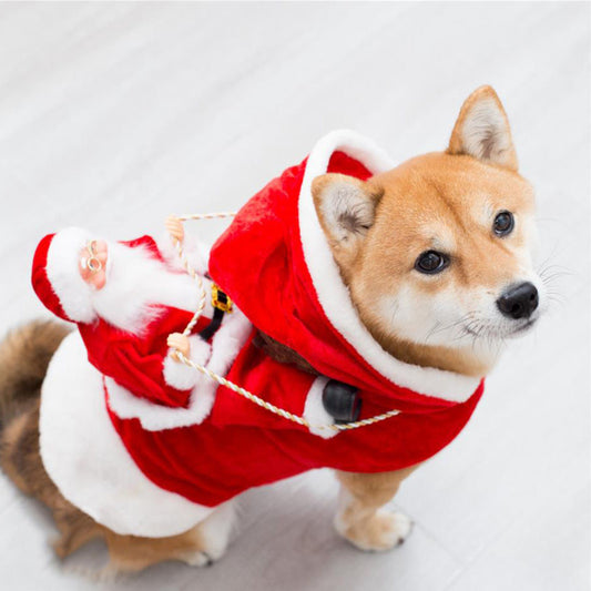 Vêtements de Noël à la mode Costume de Noël pour chien elfe vert