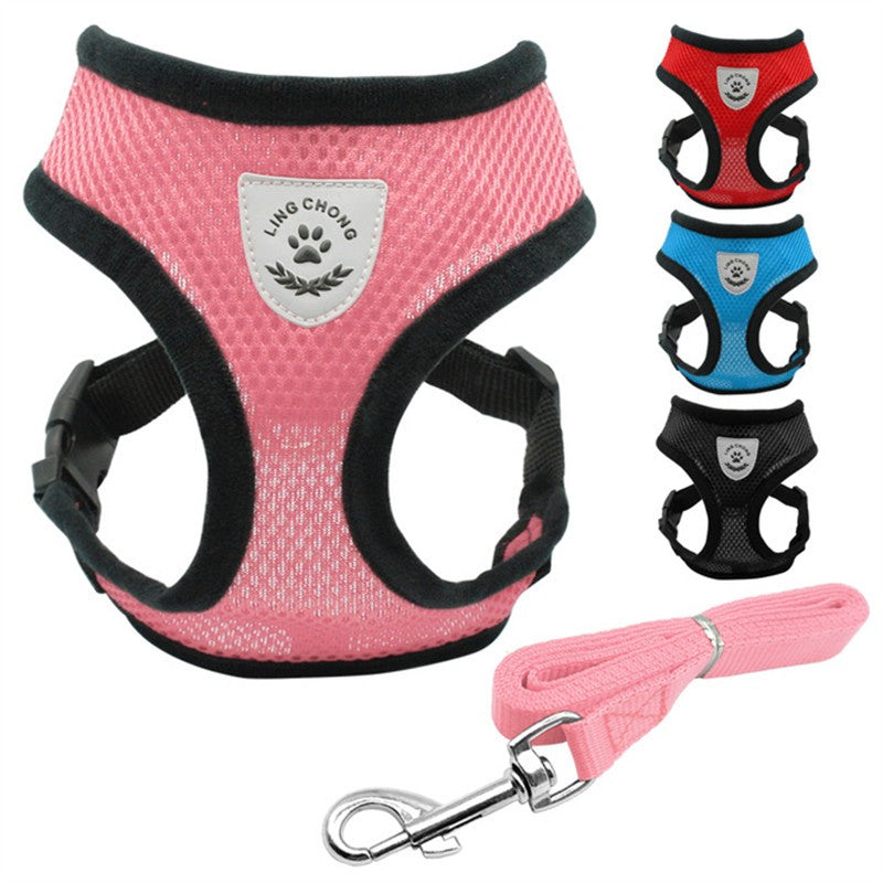 Ceinture de sécurité pour voiture pour animaux de compagnie, laisse pour animaux de compagnie