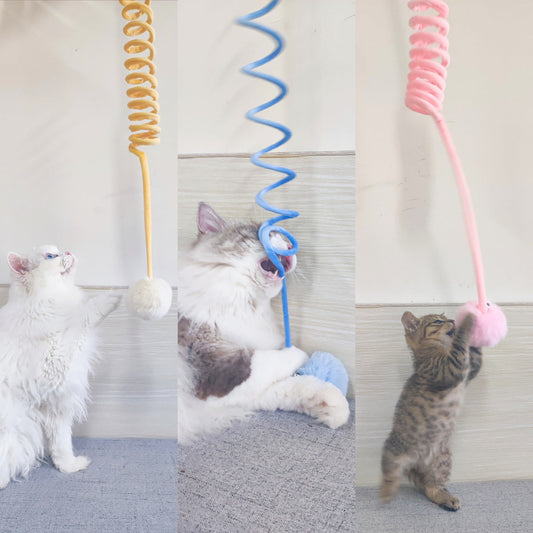 Juguete para gatos Self-Hi Sucker, Bola de pelo de conejo de primavera, juego interactivo, suministros para mascotas, juguetes interactivos