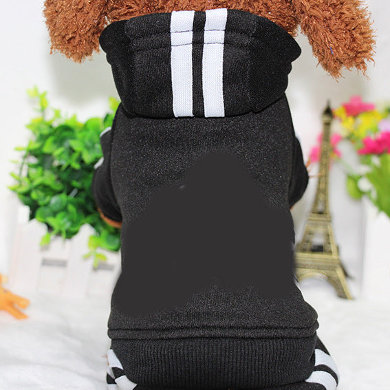 Ropa para mascotas de cuatro patas.