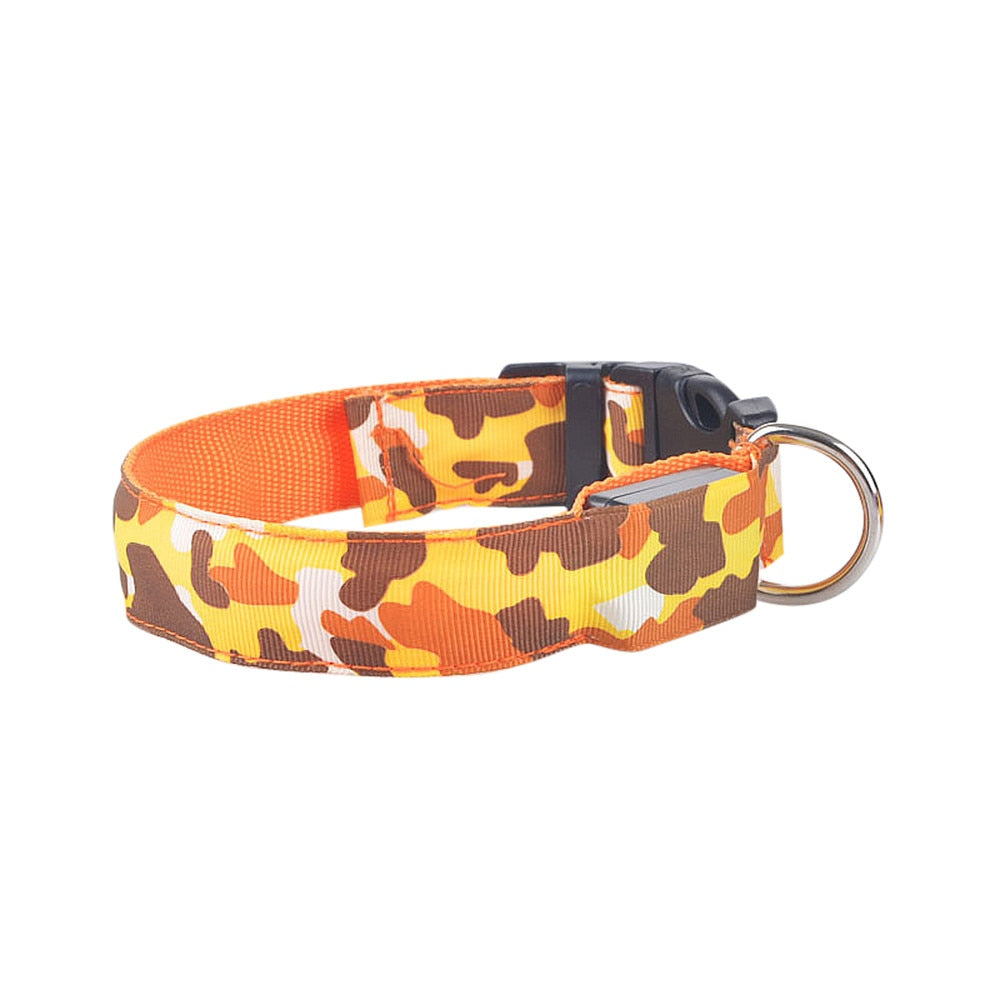 Collier de chien lumineux, fournitures pour animaux de compagnie, Camouflage