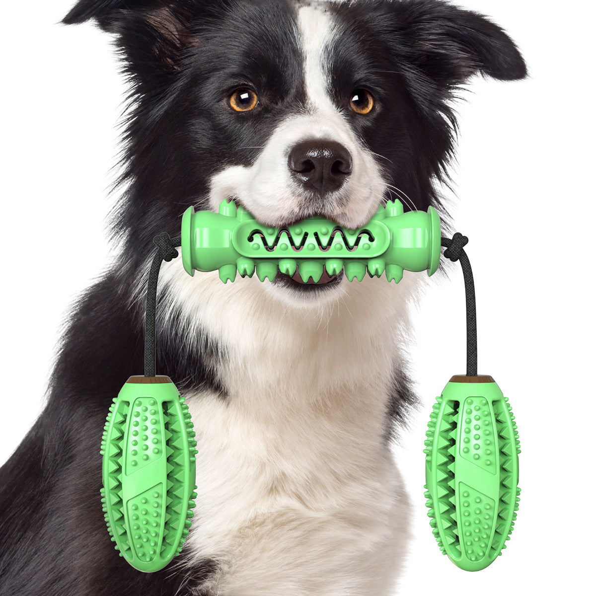 Jouets à mâcher pour chien, brosse à dents pour animaux de compagnie, os en caoutchouc, nettoyage des dents