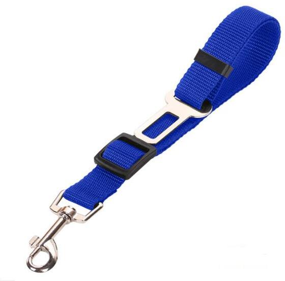 Ceinture de sécurité pour voiture pour animaux de compagnie, laisse pour animaux de compagnie