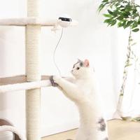 Jouet pour chat de compagnie jouet de chat de mouvement électronique interactif