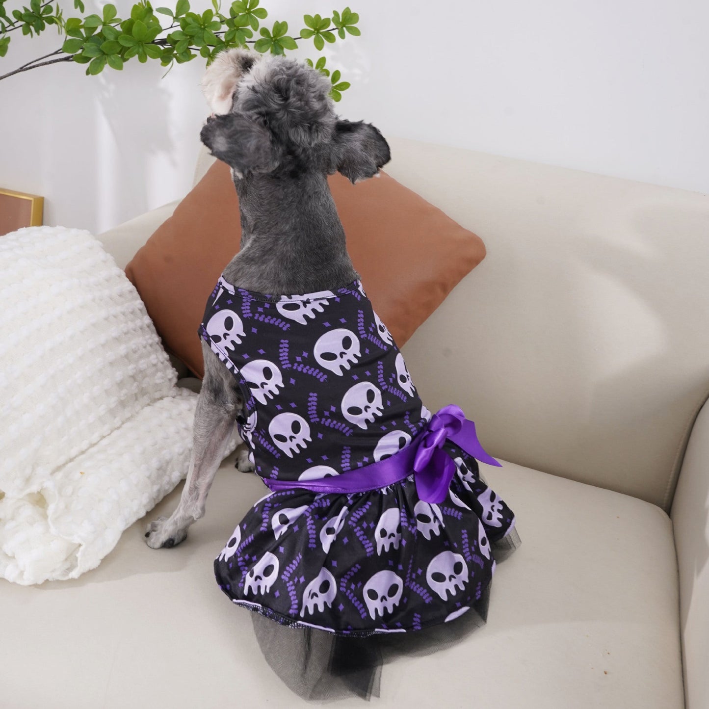 Vêtements pour chiens de compagnie Vêtements d'Halloween Halloween