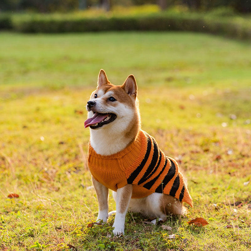 Chandails d'halloween pour chiens, Costume pour animaux de compagnie, pull de loisirs chaud, vêtements de Cosplay pour chiens, tenues pour animaux de compagnie