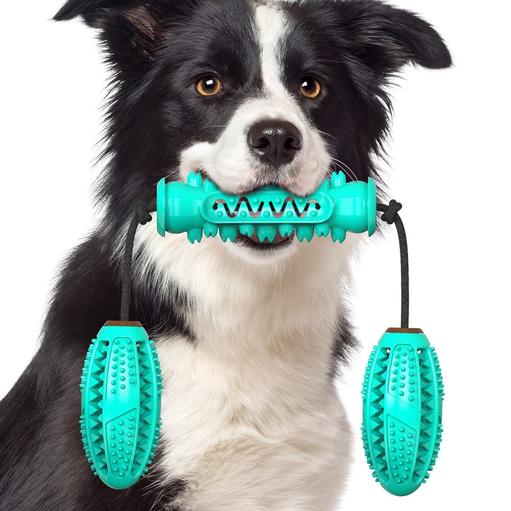 Jouets à mâcher pour chien, brosse à dents pour animaux de compagnie, os en caoutchouc, nettoyage des dents