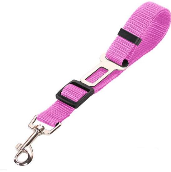 Ceinture de sécurité pour voiture pour animaux de compagnie, laisse pour animaux de compagnie