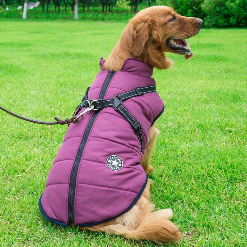 Ropa para perros Chaleco de algodón integrado en la espalda y el pecho Ropa de algodón para mascotas Ropa de invierno