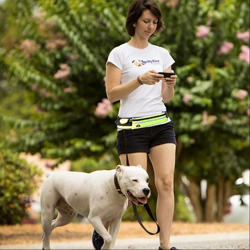 Laisse mains libres pour chien, ceinture de marche et d'entraînement pour animaux de compagnie, avec laisse élastique absorbant les chocs, pour grands chiens jusqu'à 180 lb, poche pour téléphone et porte-bouteille d'eau