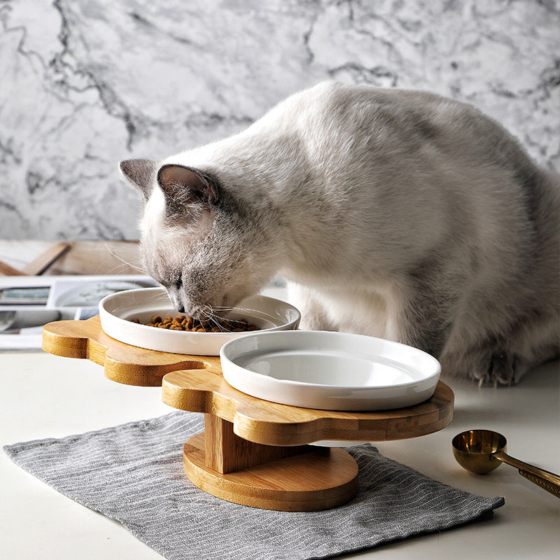 Cuenco de cerámica para gatos con productos para mascotas