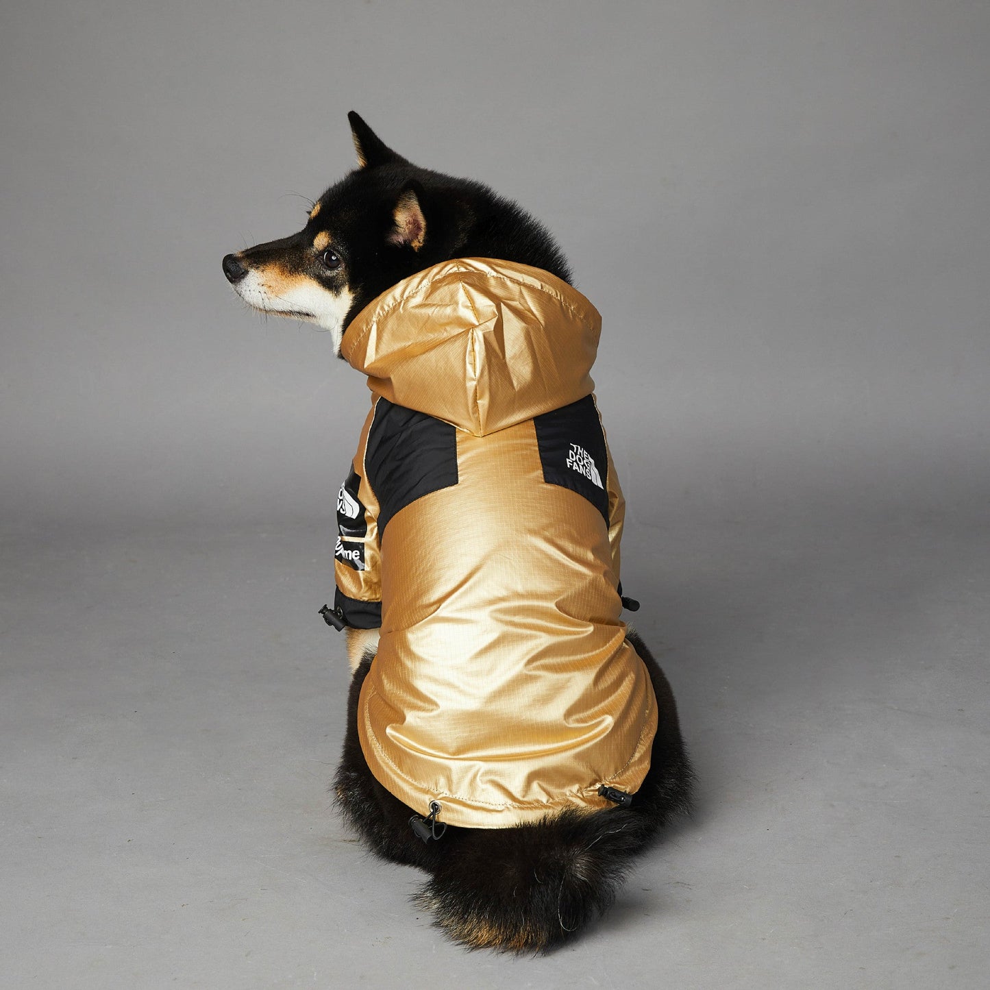 Veste imperméable pour chien de grande taille