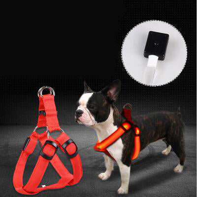 Productos para mascotas LED Correa luminosa para el pecho del perro Correa luminosa para perros grandes