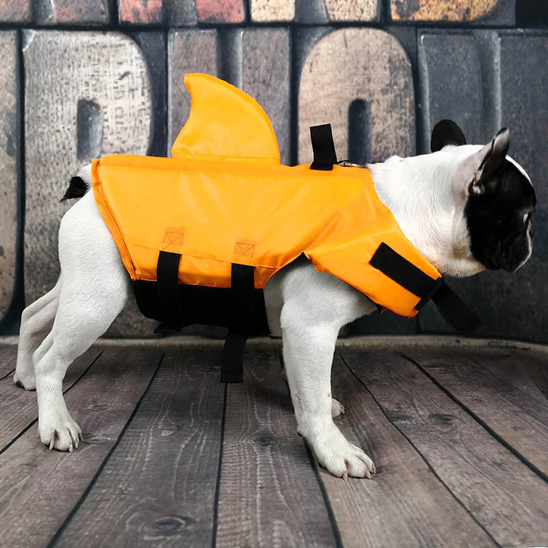 Gilet de sauvetage pour chien, gilet de sauvetage d'été pour animaux de compagnie, requin