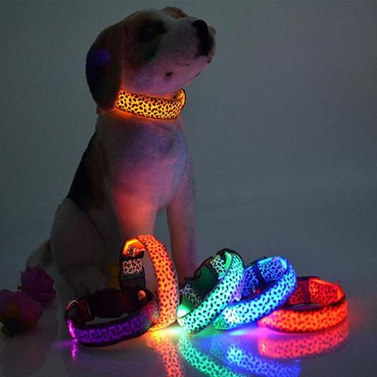 Collier LED pour chien, collier pour animaux de compagnie léopard en nylon réglable de sécurité