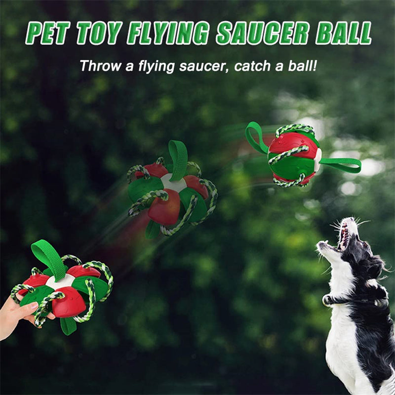 Balón de fútbol interactivo para perros con pestañas, juguete de entrenamiento inflado, pelotas de Border Collie para exteriores, productos para mascotas