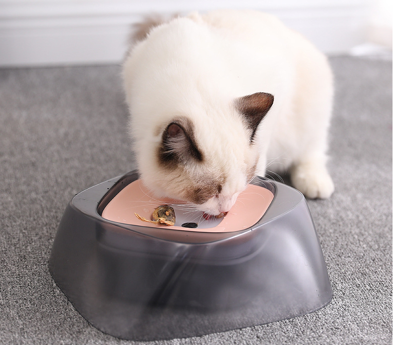 Bol pour chien flottant, bouche non mouillée, bol pour chat, sans déversement, mangeoire à eau potable