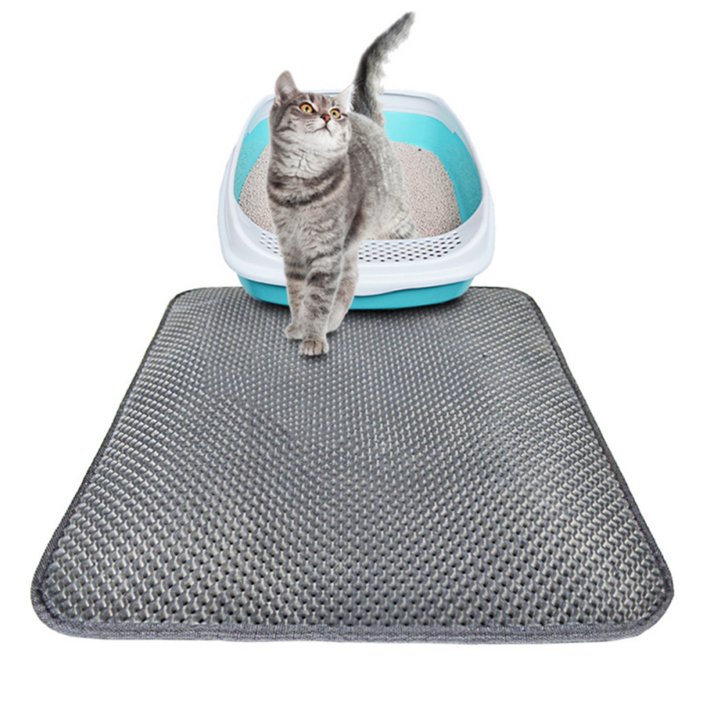 Double couche litière pour chat coussinets pour animaux de compagnie chat litière tapis piégeage animaux litière tapis produit pour animaux de compagnie lit pour chats maison propre tapis