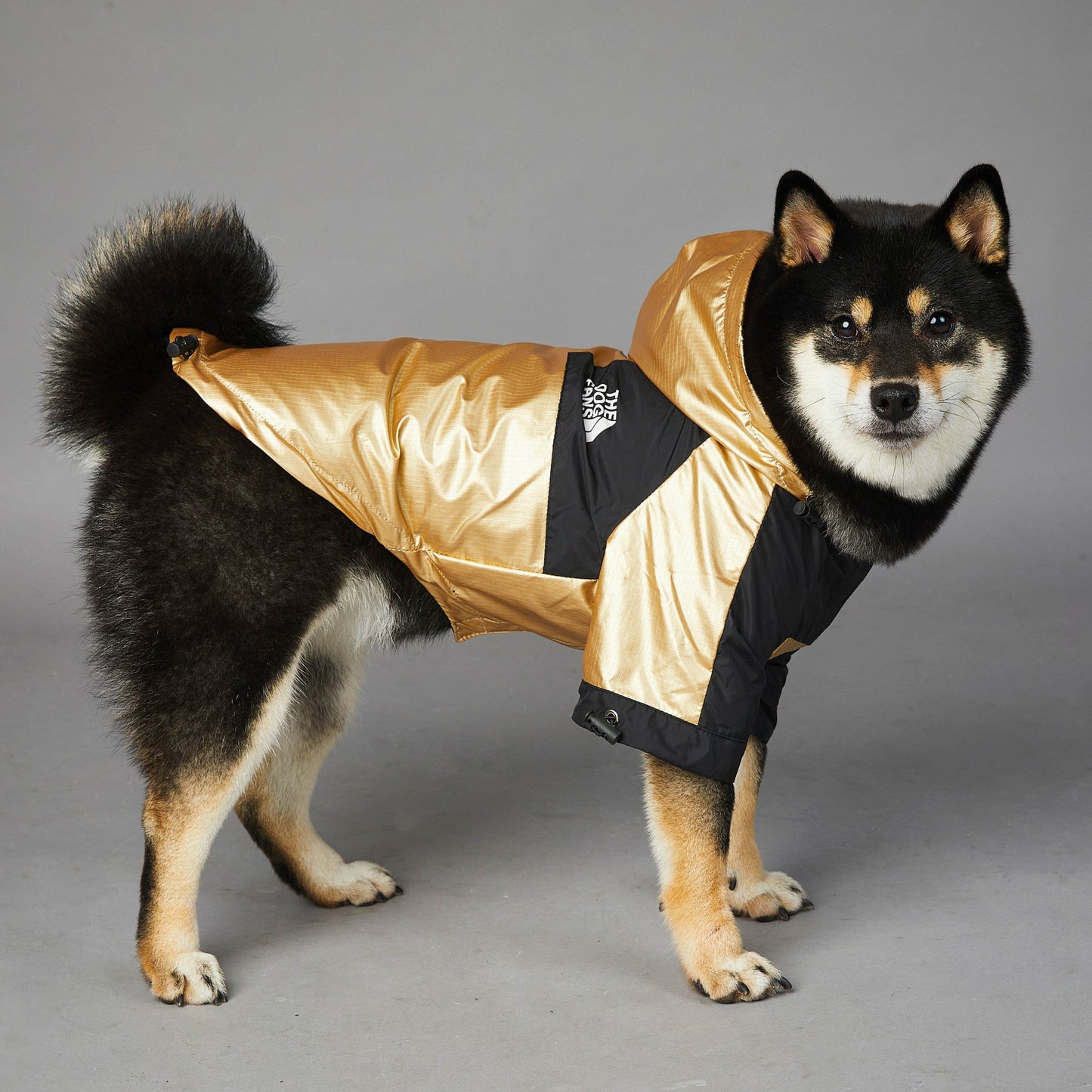 Veste imperméable pour chien de grande taille