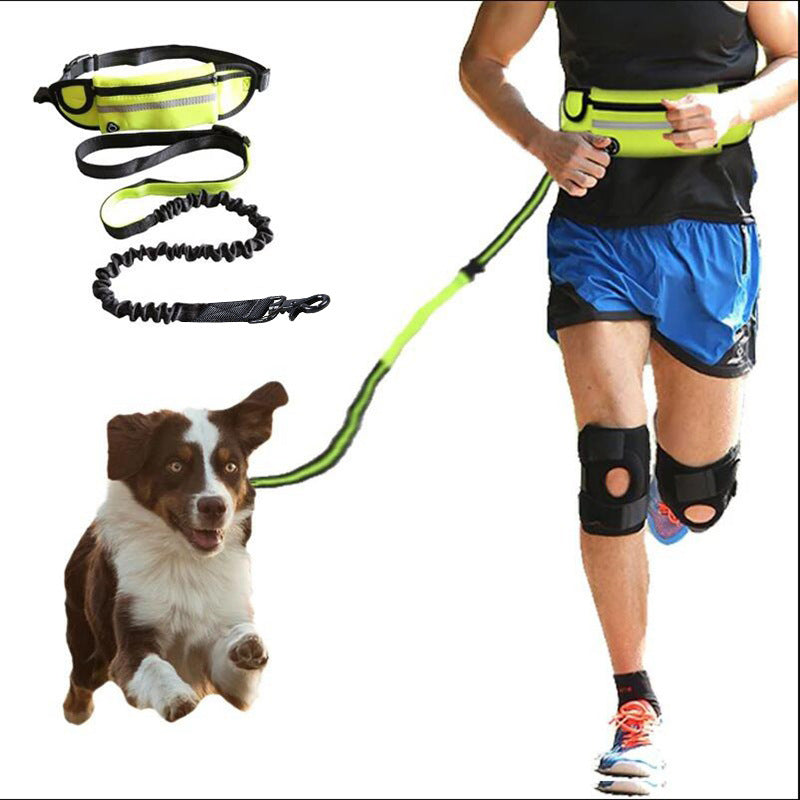 Laisse mains libres pour chien, ceinture de marche et d'entraînement pour animaux de compagnie, avec laisse élastique absorbant les chocs, pour grands chiens jusqu'à 180 lb, poche pour téléphone et porte-bouteille d'eau