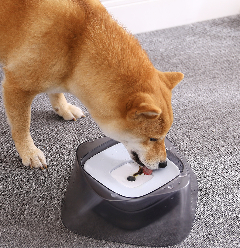 Bol pour chien flottant, bouche non mouillée, bol pour chat, sans déversement, mangeoire à eau potable