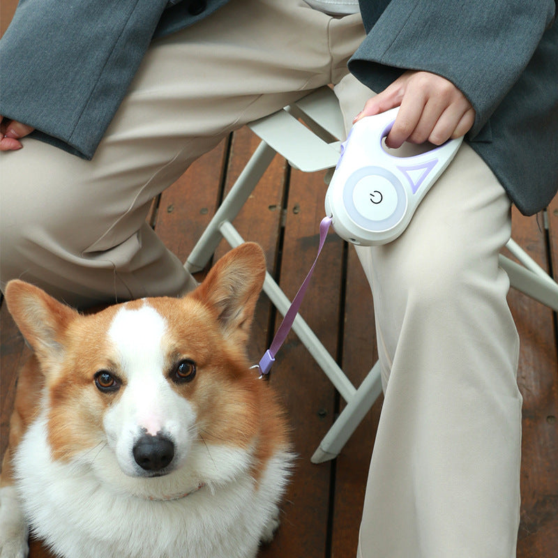 Laisse rétractable pour chien et collier pour chien, projecteur automatique, corde de Traction pour chien et chat, produit pour petits et moyens chiens