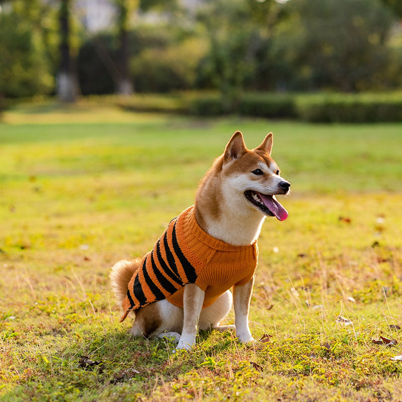 Chandails d'halloween pour chiens, Costume pour animaux de compagnie, pull de loisirs chaud, vêtements de Cosplay pour chiens, tenues pour animaux de compagnie