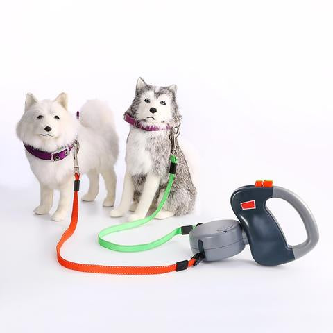 Laisse de marche rétractable pour chien double