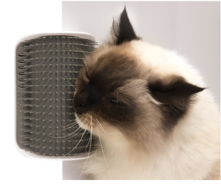 Brosse d'auto-toilettage pour chat, dispositif de frottement des parois pour animaux de compagnie