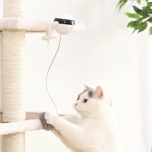 Jouet pour chat de compagnie jouet de chat de mouvement électronique interactif