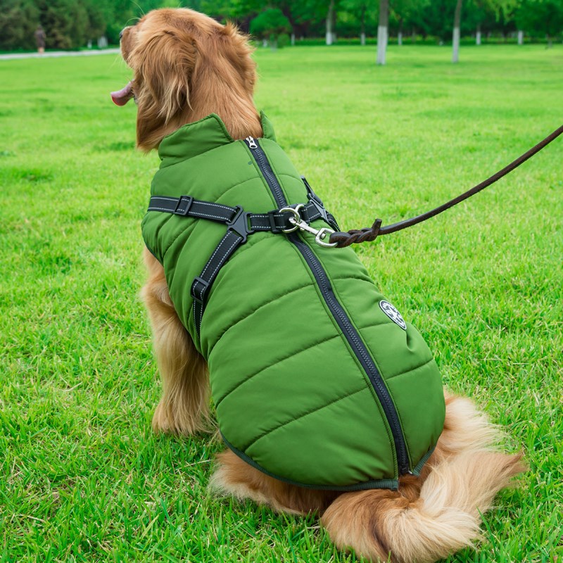 Vêtements pour chiens poitrine dos gilet en coton intégré vêtements en coton pour animaux de compagnie vêtements d'hiver