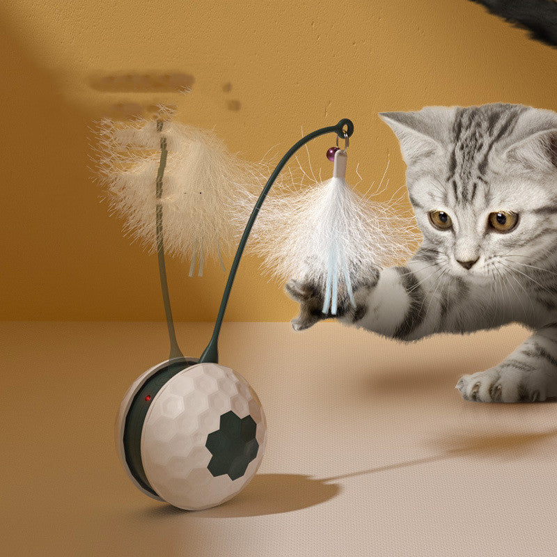 Profiter des produits pour animaux de compagnie de jouets électriques intelligents résistants aux morsures pour chats