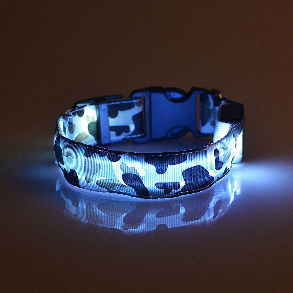 Collier de chien lumineux, fournitures pour animaux de compagnie, Camouflage