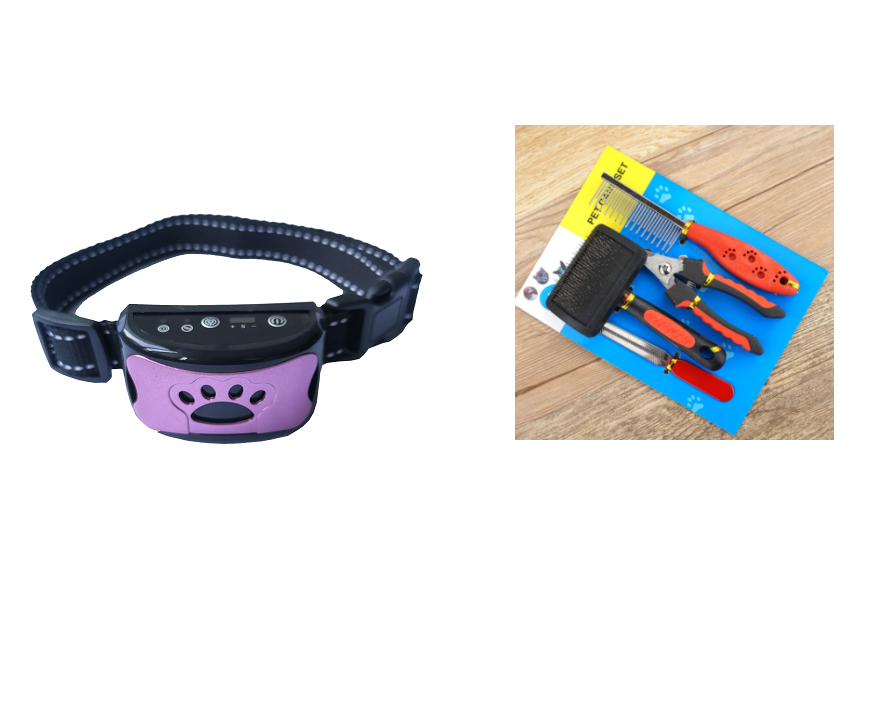 Collier d'entraînement pour chien, étanche, électrique, télécommande pour animaux de compagnie, Rechargeable, anti-aboiement, avec son de Vibration et de choc