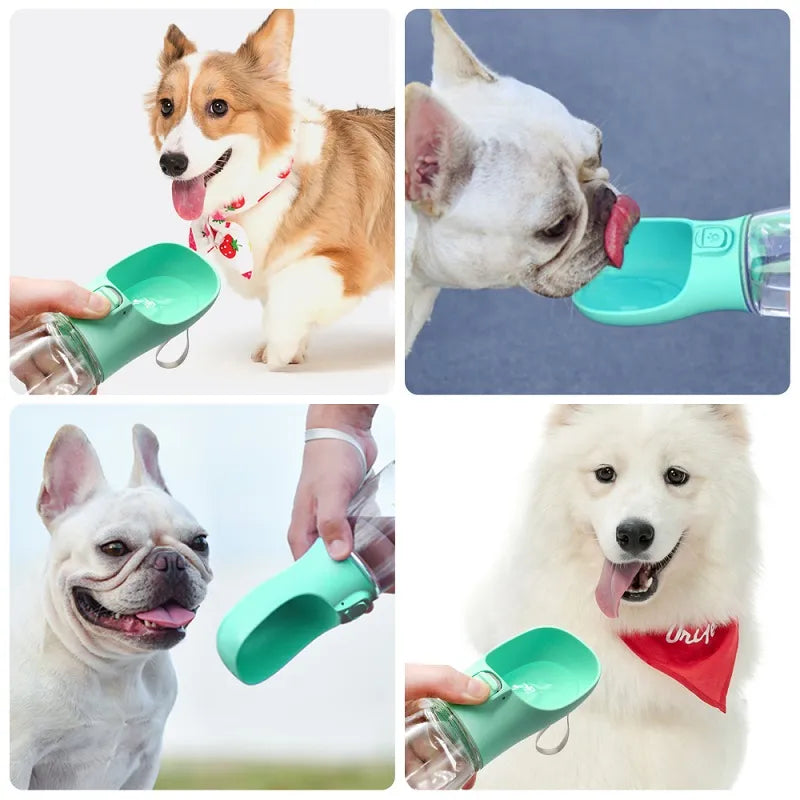 Bouteille d'eau Portable pour petits et grands chiens, bol pour marche en plein air, chiot, bouteille d'eau de voyage pour animaux de compagnie, bol à boire pour chat, fournitures pour chiens