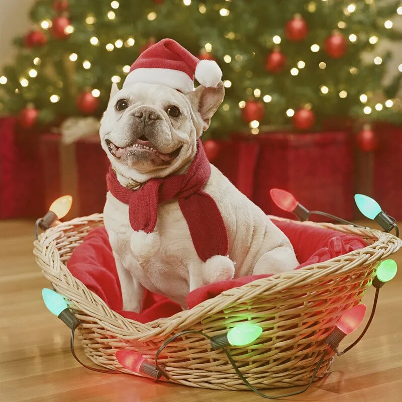 Gorro navideño de peluche pequeño de Papá Noel para mascota, perro, gato, adornos navideños para el hogar, gorro navideño, regalo de Feliz Año Nuevo