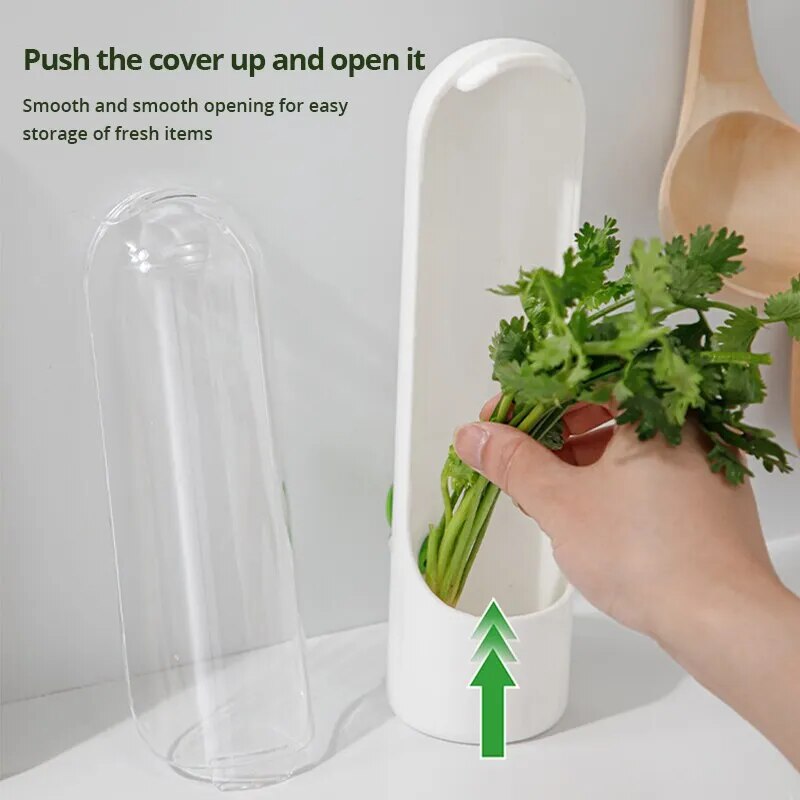 Bouteille de conservation de légumes, 1 pièce, bouteille de conservation d'herbes, Gadget de cuisine domestique frais pour stocker les fournitures de cuisine