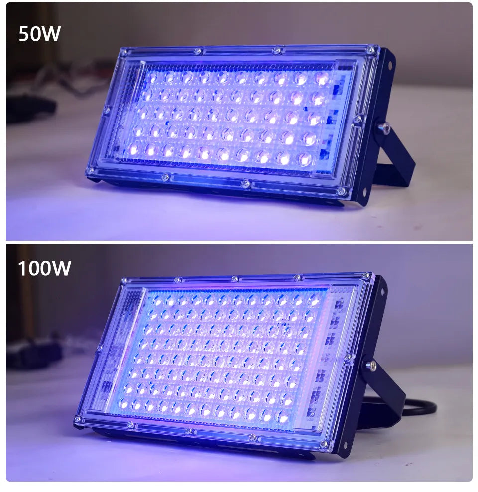 50W 100W UV Flood Light AC 220V Outdoor Floodlight 395nm 400nm Ultraviolet Fluorescent Stage Lamp With EU Plug Party Blacklight