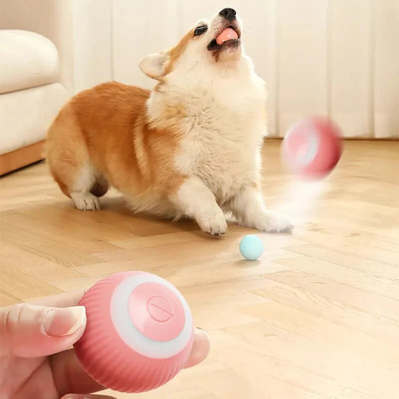 Jouets électriques pour chiens, balle intelligente pour chiot, pour chat, petits chiens, boule à roulement automatique amusante, jeux pour chiots auto-mobiles, jouets pour animaux de compagnie