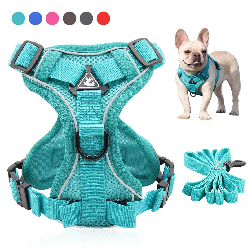 Conjunto de Correa y arnés para perro, arnés tipo chaleco ajustable para mascota, malla reflectante para perros pequeños y grandes, correa para el pecho para cachorros y gatos