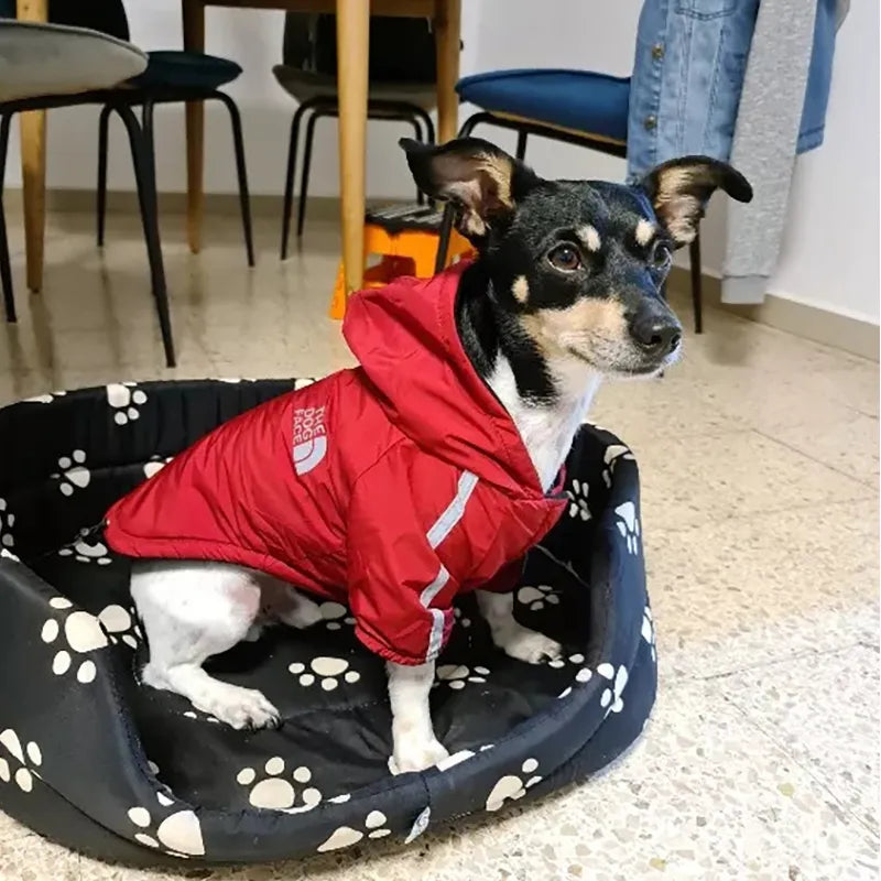 Vêtements imperméables pour chiens, manteau réfléchissant pour animaux de compagnie, pour petits et moyens chiens, vestes d'hiver chaudes en polaire pour chiots, tenue Chihuahua