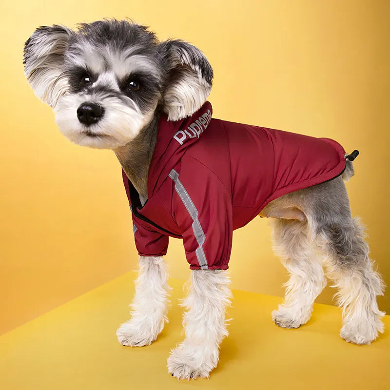 Vêtements imperméables pour chiens, manteau réfléchissant pour animaux de compagnie, pour petits et moyens chiens, vestes d'hiver chaudes en polaire pour chiots, tenue Chihuahua