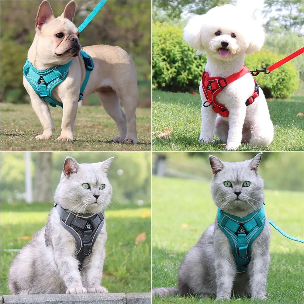 Conjunto de Correa y arnés para perro, arnés tipo chaleco ajustable para mascota, malla reflectante para perros pequeños y grandes, correa para el pecho para cachorros y gatos