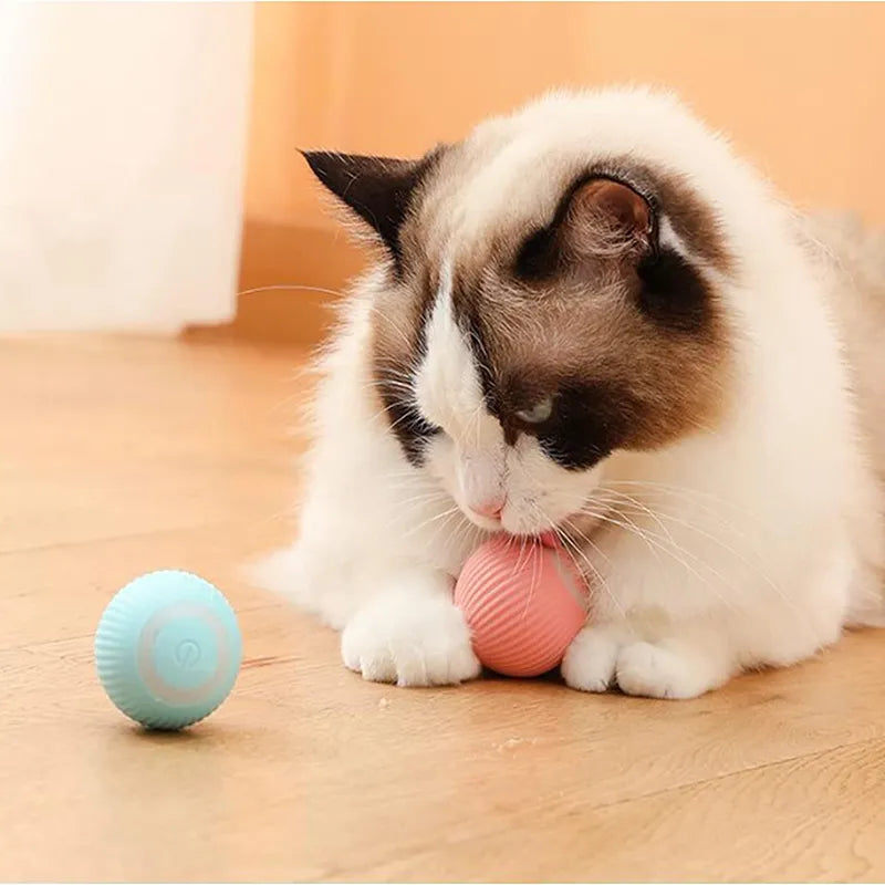 Jouets électriques pour chiens, balle intelligente pour chiot, pour chat, petits chiens, boule à roulement automatique amusante, jeux pour chiots auto-mobiles, jouets pour animaux de compagnie