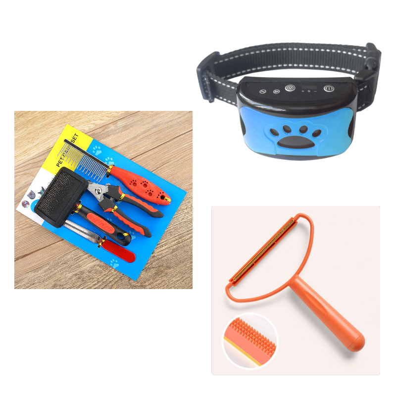 Collier d'entraînement pour chien, étanche, électrique, télécommande pour animaux de compagnie, Rechargeable, anti-aboiement, avec son de Vibration et de choc