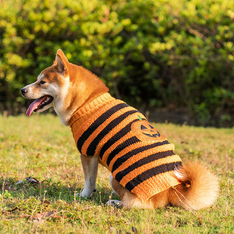 Chandails d'halloween pour chiens, Costume pour animaux de compagnie, pull de loisirs chaud, vêtements de Cosplay pour chiens, tenues pour animaux de compagnie