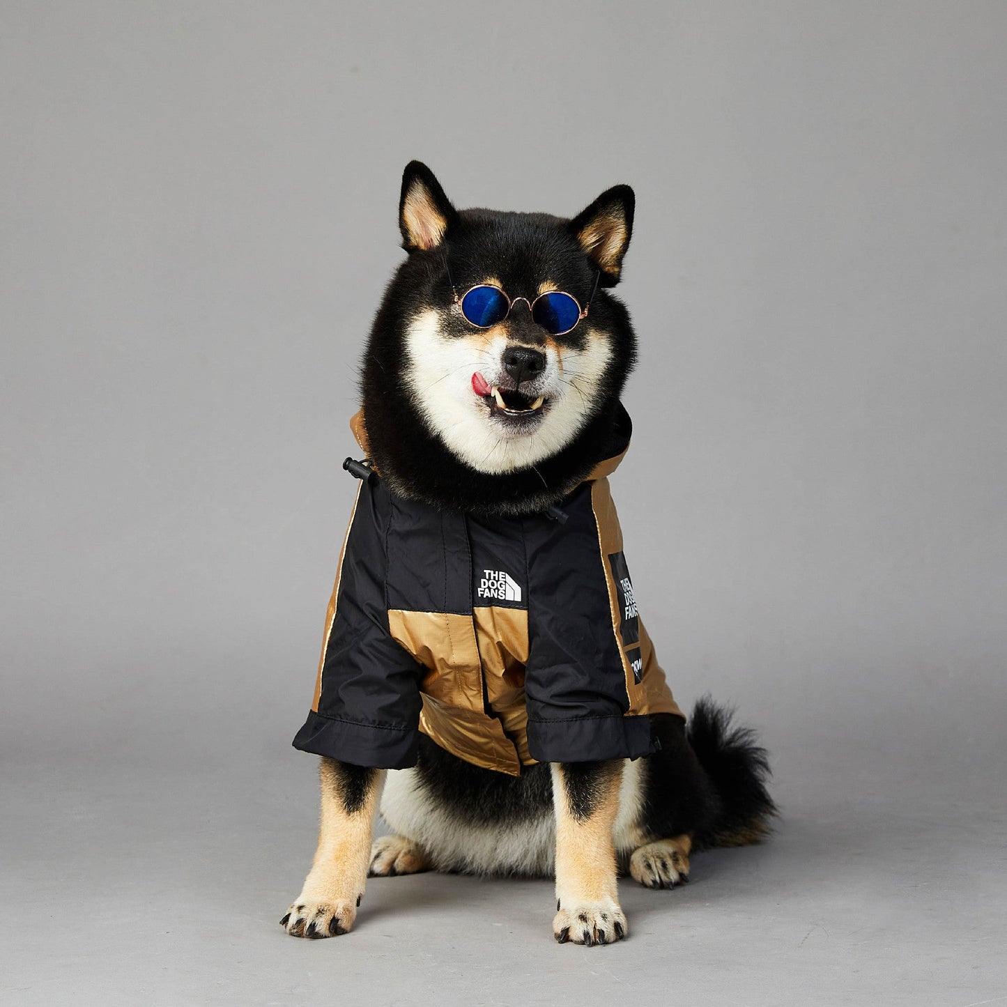 Chaqueta impermeable para perros grandes para perros