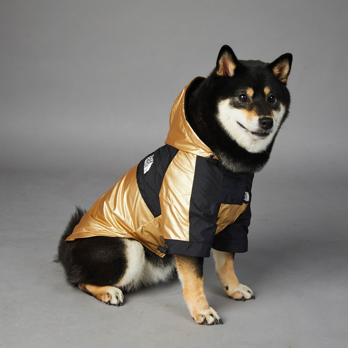 Chaqueta impermeable para perros grandes para perros